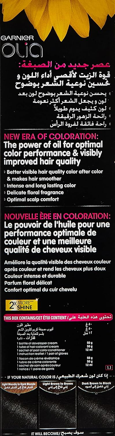 Garnier Permanent Hair Dye 1.0 Deep Black